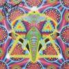 Blotter Art Ganesh By Ciaran Shaman- UK - Planche Signée