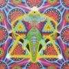 Blotter Art Ganesh By Ciaran Shaman- UK