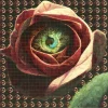 All Seeing Rose Blotter Art -US