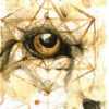 Blotter Art The Wolf Inside by Will I Om